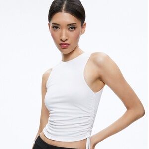 Alice + Olivia Chrissy Crewneck Rushed Top